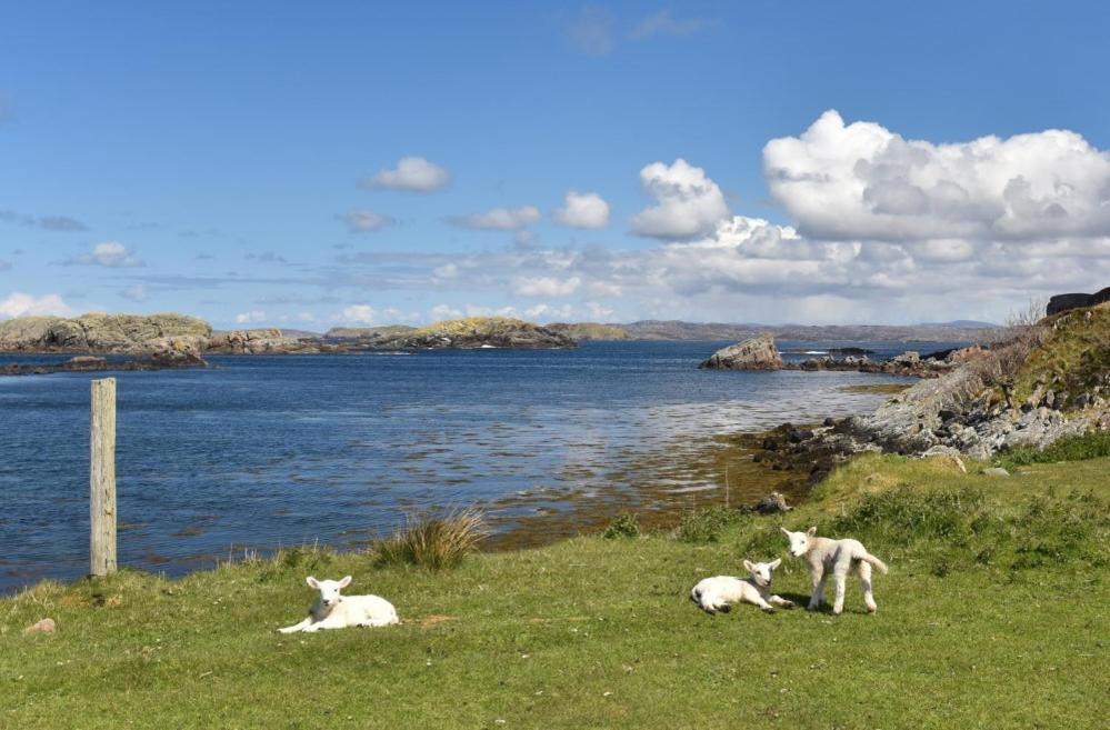 Culkein Lodge Drumbeg Exterior foto